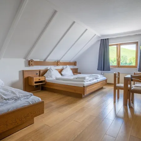 Muehlengarten By Zzzimple 3* Nittel