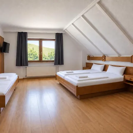 Hotel Muehlengarten By Zzzimple