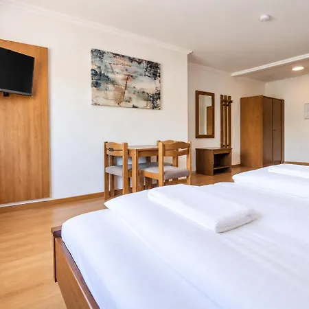 Hotel Muehlengarten By Zzzimple 3*